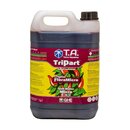 T.A. TriPart Micro HW 10L